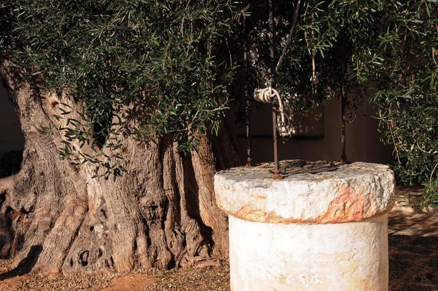 Masseria Torre Del Diamante Torre Canne Kültér fotó