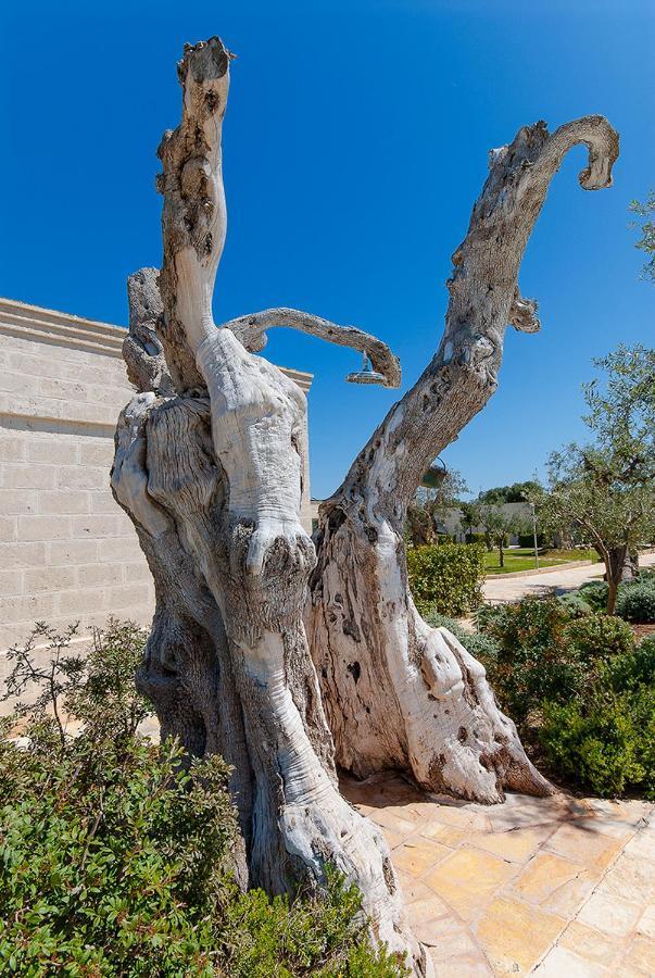 Masseria Torre Del Diamante Torre Canne Kültér fotó