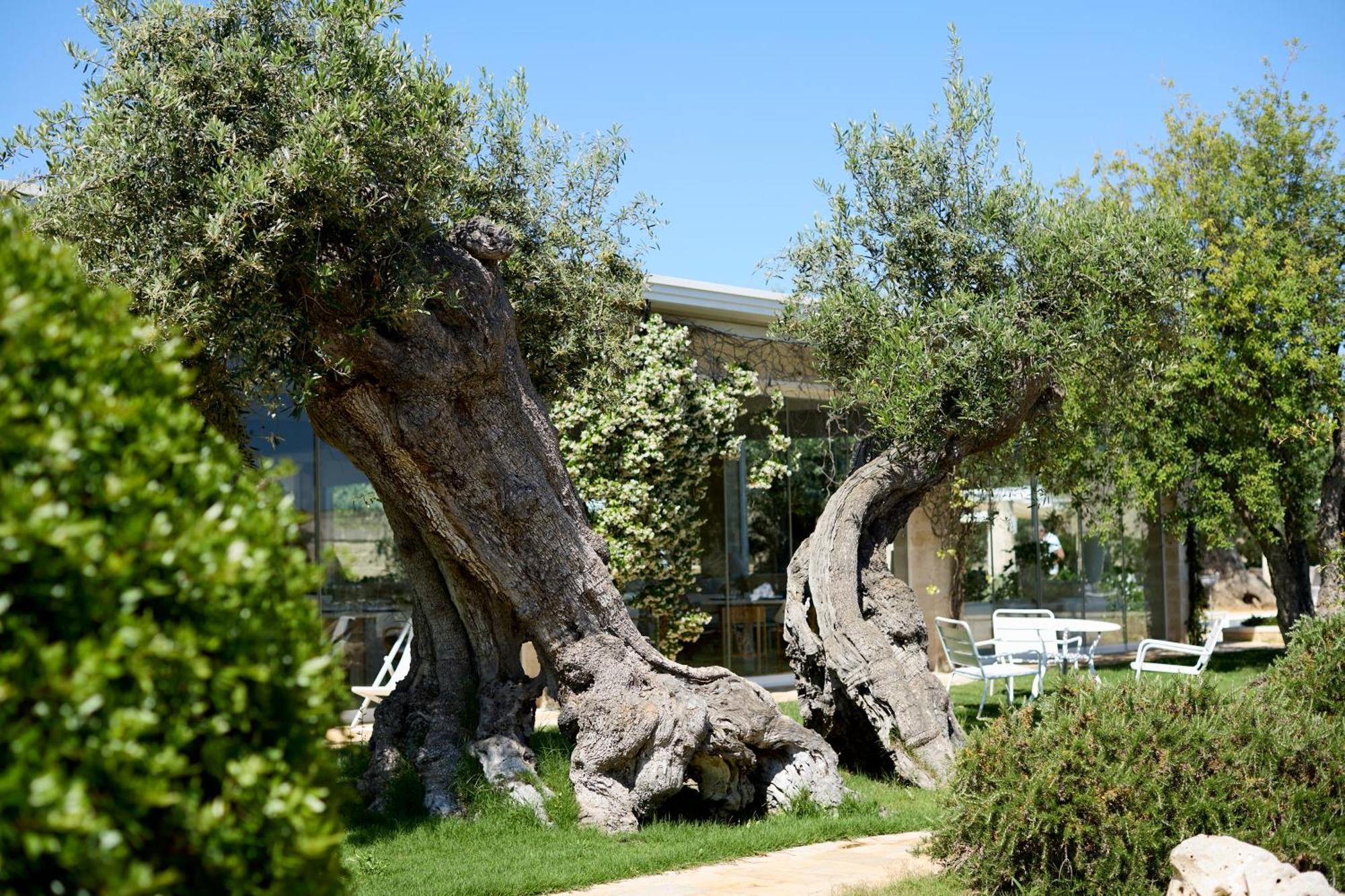 Masseria Torre Del Diamante Torre Canne Kültér fotó