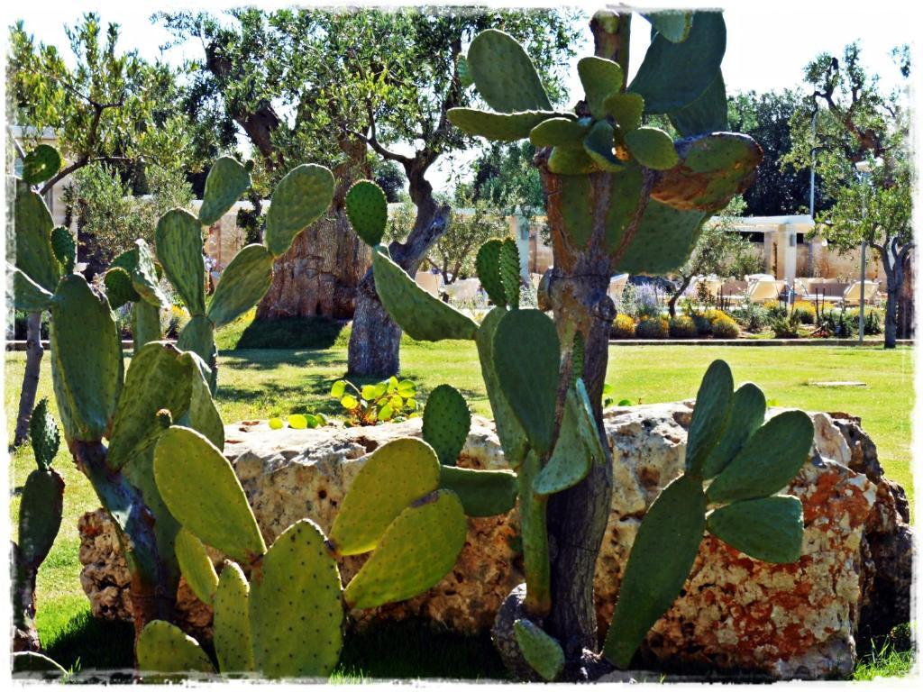 Masseria Torre Del Diamante Torre Canne Kültér fotó